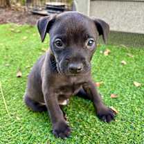 Thumbnail photo of Eddie  #2