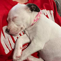 Thumbnail photo of Merry  #3