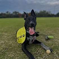 Thumbnail photo of Zeke  #1