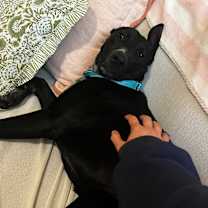 Thumbnail photo of Zeke  #2