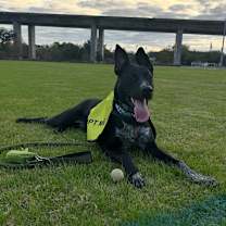 Thumbnail photo of Zeke  #4