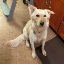 Thumbnail photo of Luna #1