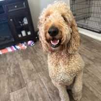 Thumbnail photo of RUBY #12 #1