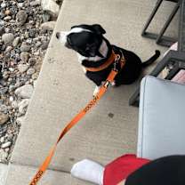 Thumbnail photo of Shadow #2