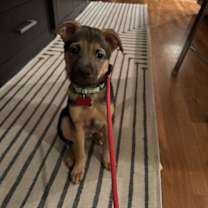 Thumbnail photo of Buddy #1