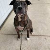 Thumbnail photo of Lilly #1