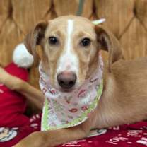 Thumbnail photo of Sherese #1