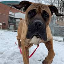 Thumbnail photo of Zeus #3