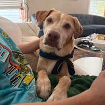 Thumbnail photo of Tater #1