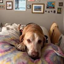 Thumbnail photo of Tater #2