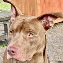 Thumbnail photo of Henrik #1