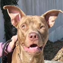 Thumbnail photo of Henrik #2