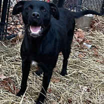 Thumbnail photo of Elsa #3