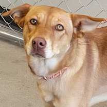 Thumbnail photo of Celeste #1