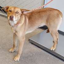 Thumbnail photo of Celeste #2