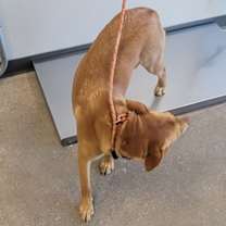 Thumbnail photo of Celeste #3