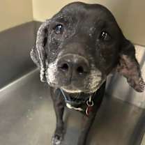 Thumbnail photo of Agnes  #2