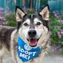 Thumbnail photo of Malcolm (Mac) #1