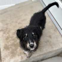 Thumbnail photo of Snowflake #3