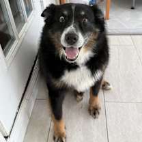 Thumbnail photo of Kuba #1