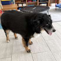 Thumbnail photo of Kuba #2