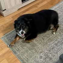 Thumbnail photo of Kuba #3