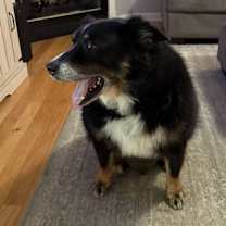 Thumbnail photo of Kuba #4