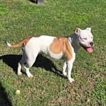 Thumbnail photo of Noe #3