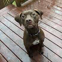 Thumbnail photo of Sage #4