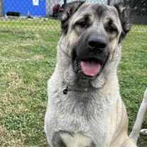 Thumbnail photo of Dale #1