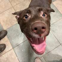 Thumbnail photo of Dumbo #2