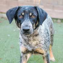 Thumbnail photo of MARY #1