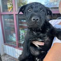 Thumbnail photo of Piso #2