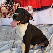 Thumbnail photo of Shelly JuM #4