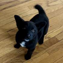 Thumbnail photo of Wi$h Li$t #1