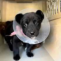 Thumbnail photo of Wi$h Li$t #2