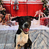 Thumbnail photo of Shelly JuM #1