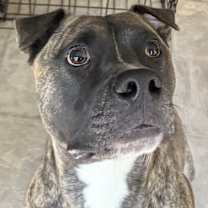 Thumbnail photo of Audio #2