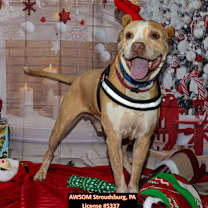 Thumbnail photo of Buddy #1