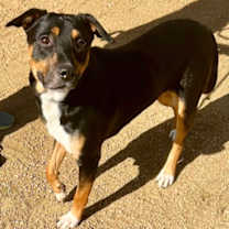 Thumbnail photo of Gravel #2