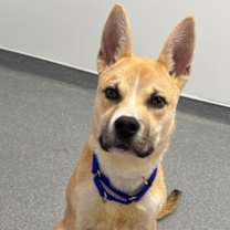 Thumbnail photo of Steve #1