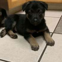 Thumbnail photo of Pebble #2