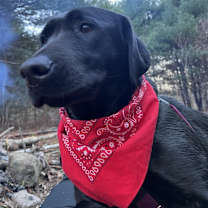 Thumbnail photo of Niamh #2