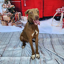 Thumbnail photo of Tony JuM #1