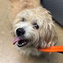 Thumbnail photo of Benny #2