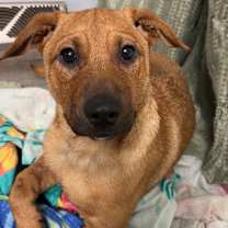 Thumbnail photo of Sully #1