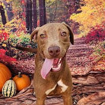 Thumbnail photo of Tony JuM #2