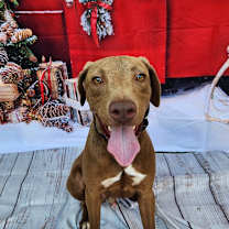 Thumbnail photo of Tony JuM #3