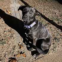 Thumbnail photo of Pixie Robinson #3