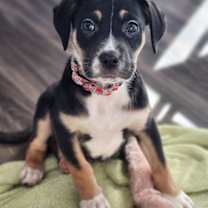 Thumbnail photo of Sally #2